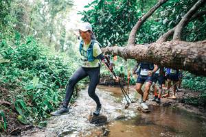 BIB: 
                            <button type="button" onclick="openModal(25373116)" class="btn btn-primary btn-sm float-right btn-popup" data-toggle="modal" data-target=".modal-high-quality">
                        <i class="fas fa-shopping-cart"></i> Add to Cart
                    </button>
                                            <button type="button" onclick="isThisMe(25373116, true)" class="btn btn-success btn-sm float-right btn-popup btn-isme hidden" data-toggle="tooltip" data-placement="bottom" title="นี่คือรูปของคุณใช่ไหม คลิกที่นี่เพื่อเอาเข้าอัลบั้ม">
                        <i class="fas fa-plus"></i> Add to album
                    </button>
                    <button type="button" onclick="isThisMe(25373116, false)" class="btn btn-warning btn-sm float-right btn-popup btn-isnotme hidden">
                        <i class="fas fa-ban"></i> Remove from album
                    </button>